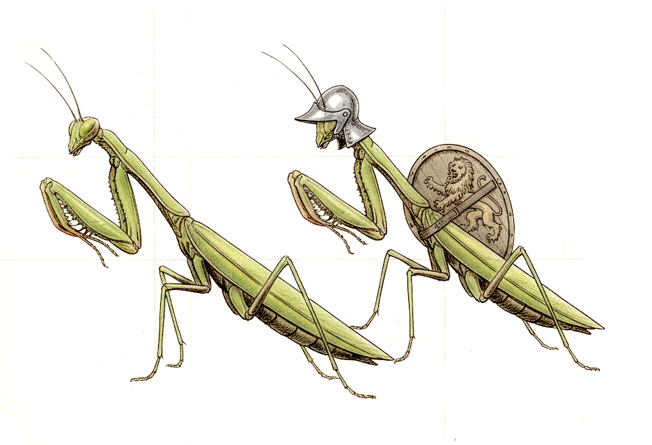 Mantis evolution illustration